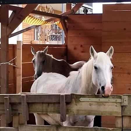 Lägenhet Mit Bauernhof-flair *