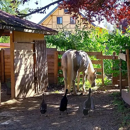 Lägenhet Mit Bauernhof-flair Kempten
